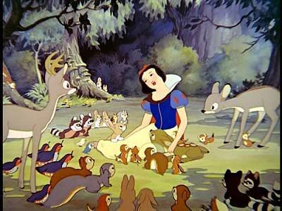 Snow White Pictures, Images and Photos