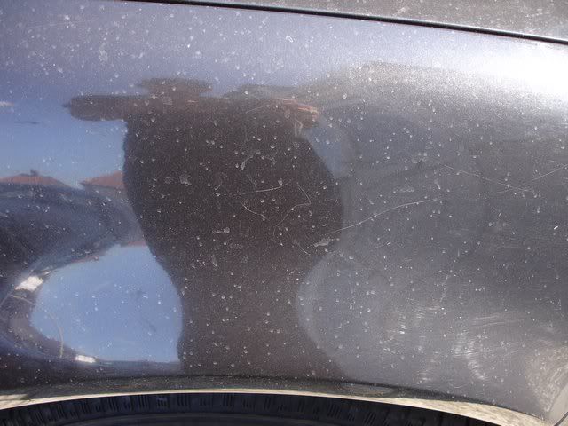 Posted Image