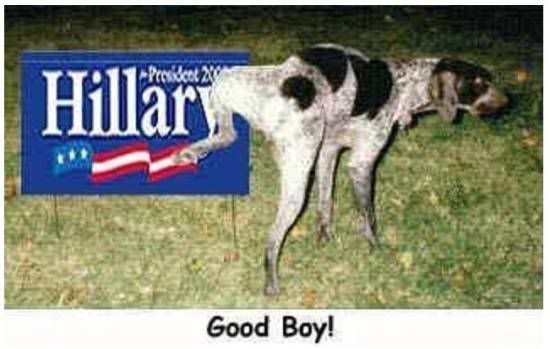 Hillary Clinton dog