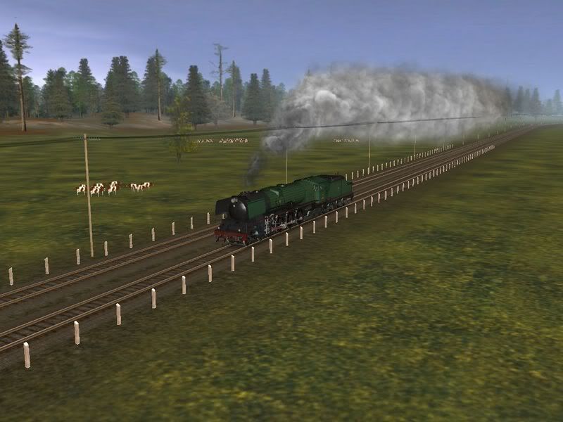 Screen_294.jpg