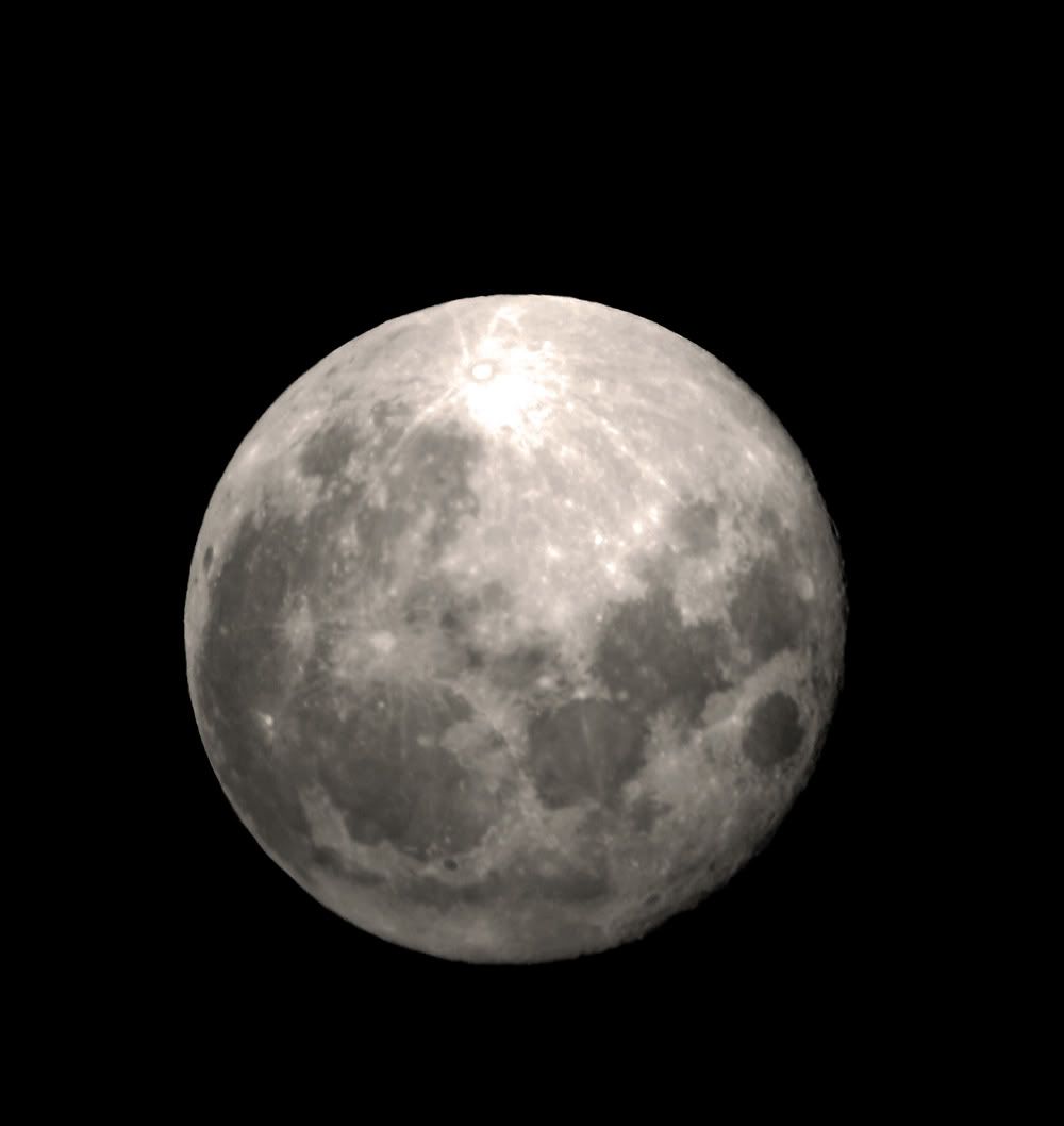 Posted Image