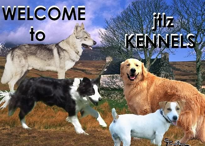 jtlzkennels.jpg