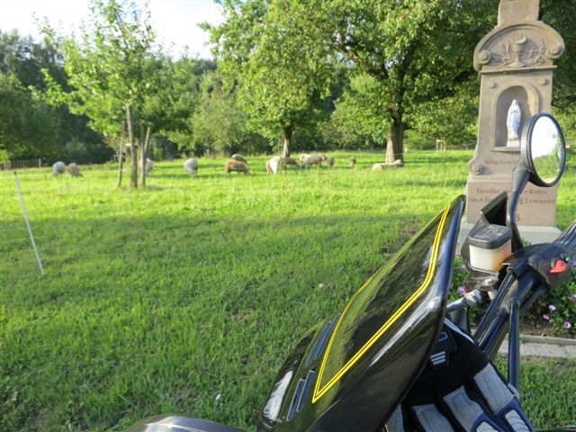 Bild