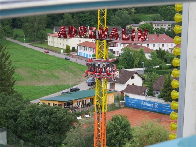 Bild