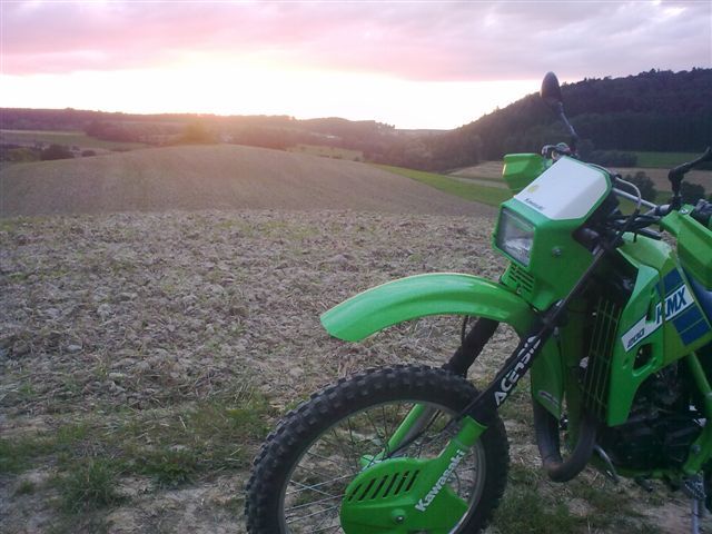 Bild