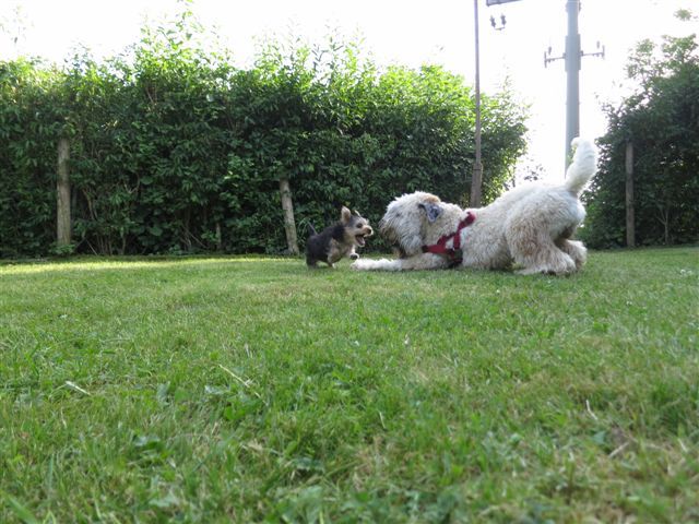 Bild