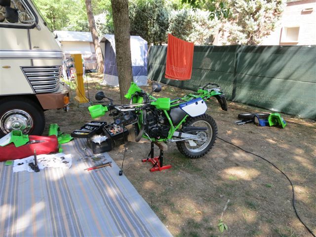 Bild