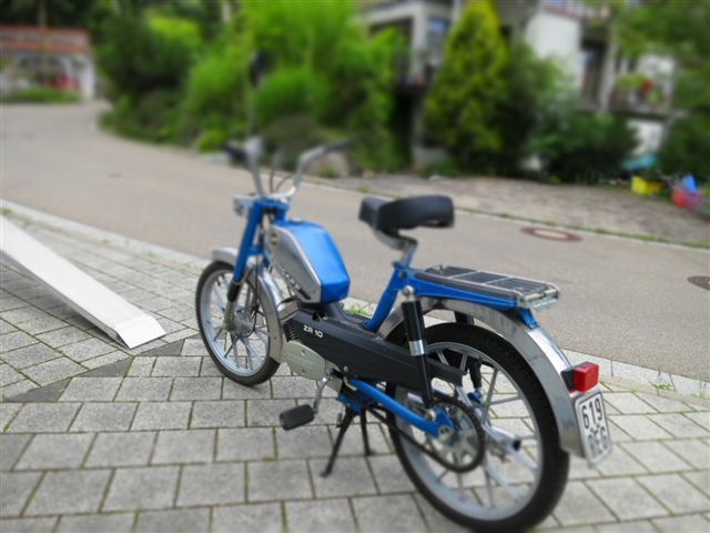 Bild