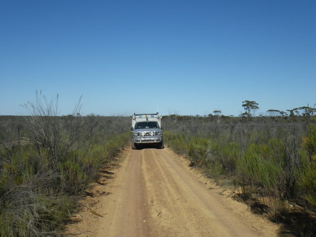 IMGP0074.jpg