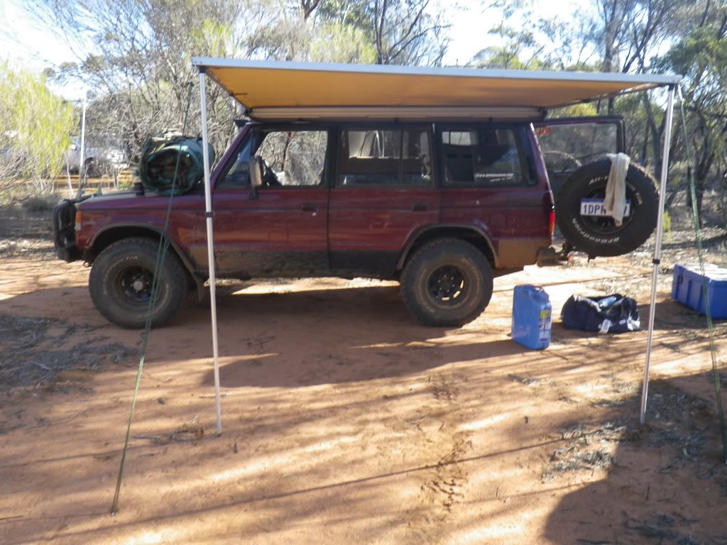 IMGP0113.jpg
