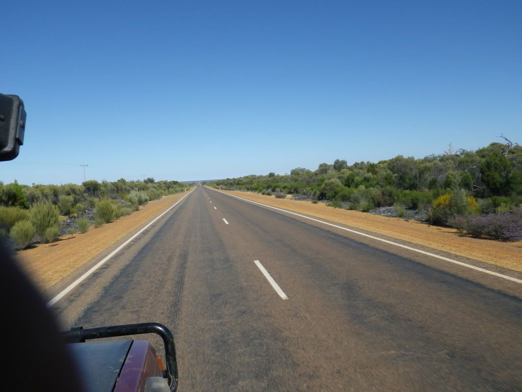 IMGP0122.jpg