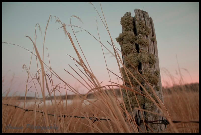 fencepost2Leditcolourcopy.jpg