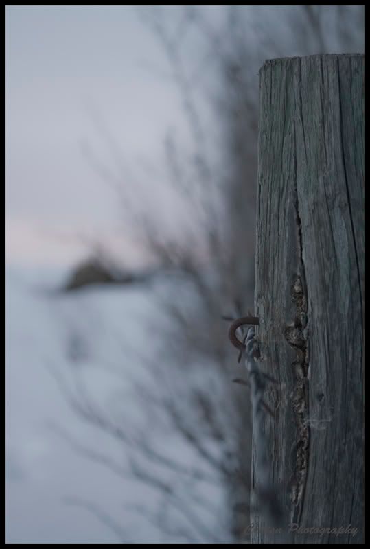 IMAGE: http://i85.photobucket.com/albums/k48/cruisn/fencepostfinal.jpg