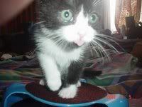 Photobucket - Video and Image Hosting