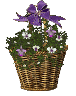 The Site Fights Blooming Baskets