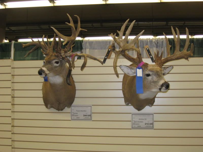 DeerClassic2010060.jpg