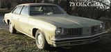 75 cut photo NewBitmapImage-7.jpg
