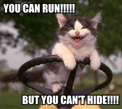 you-can-run-but-you-cant-hide.jpg?t=1240