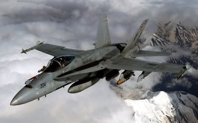 USMC_F18C_VMFA-115.jpg