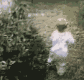 http://i85.photobucket.com/albums/k51/cjhsa/cat_scratch.gif