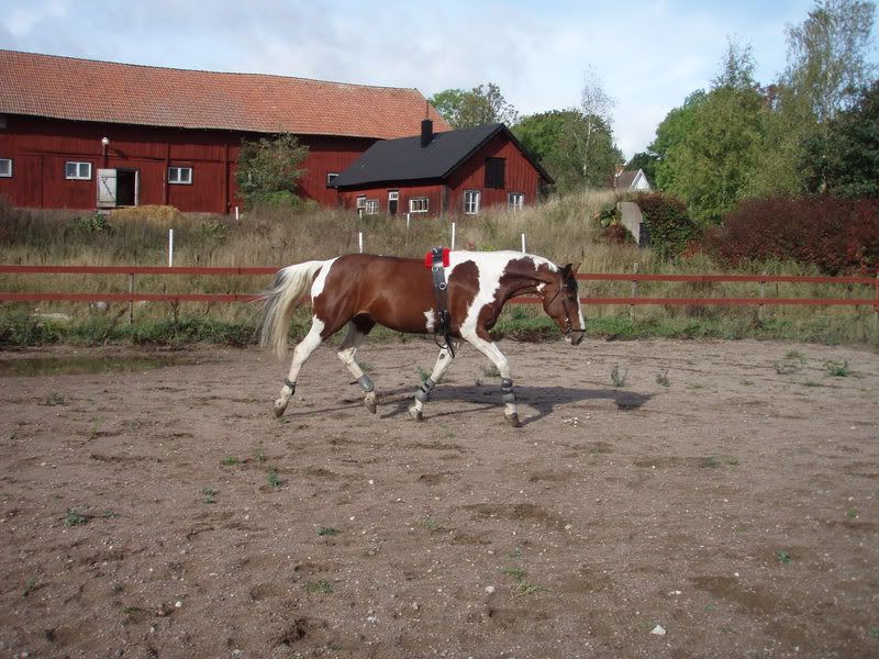 Bild255.jpg