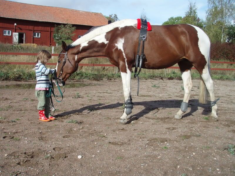 Bild259.jpg