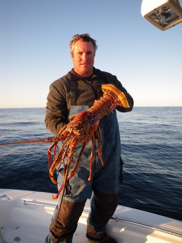 offshore008.jpg