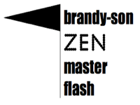 brandysonzenmasterflash