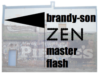 brandysonzenmasterflash