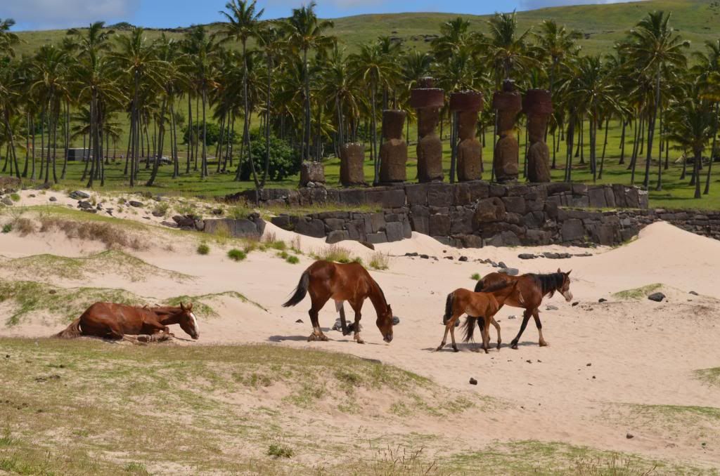 Playa, moais y desfile - Crónica de un viaje inolvidable a Rapa Nui (1)