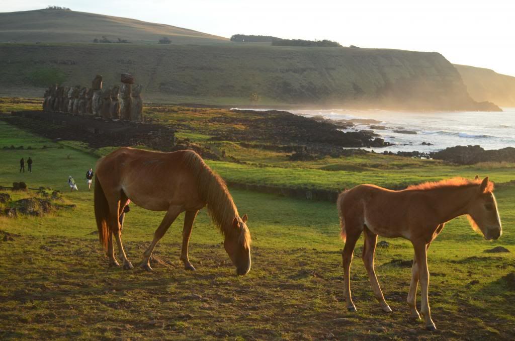 Amanecer en Ahu Tongariki y despedida de la isla - Crónica de un viaje inolvidable a Rapa Nui (6)