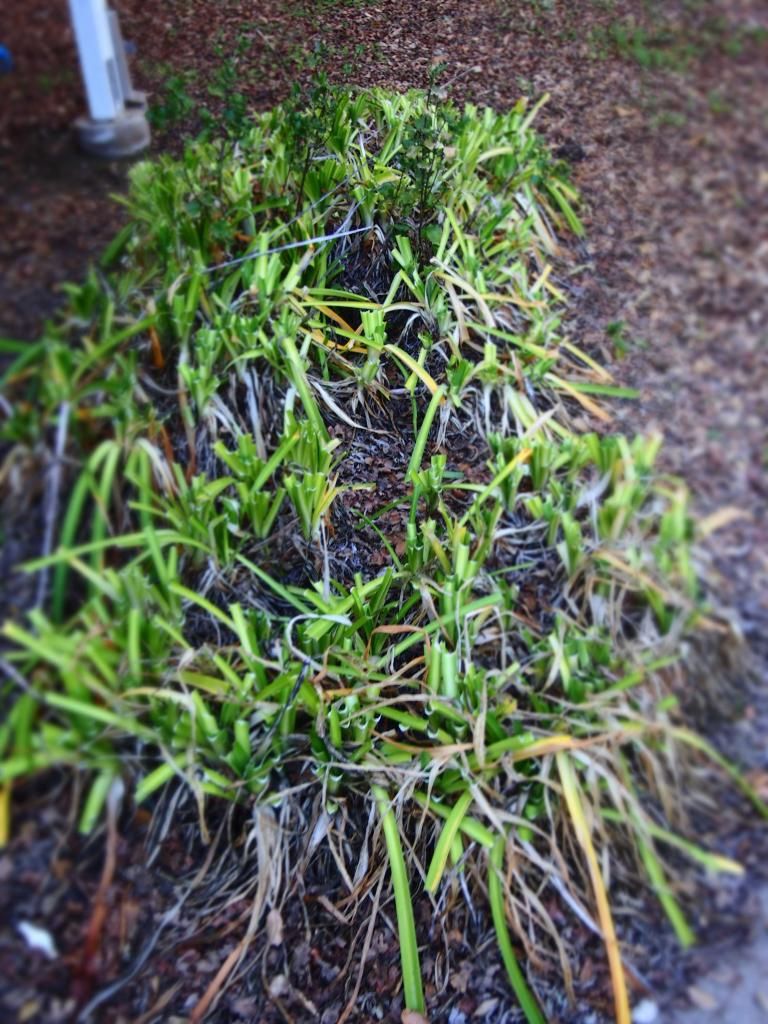 photo aga_zpsd8c53f47.jpg