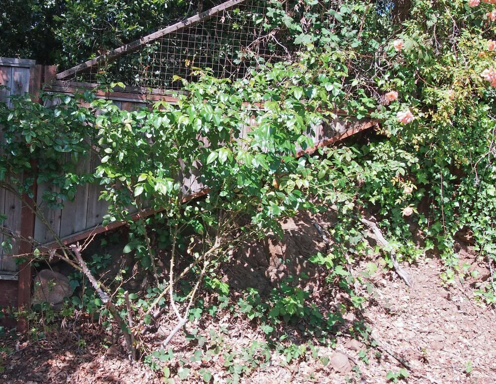 photo Handel_zpsd73a11ff.jpg