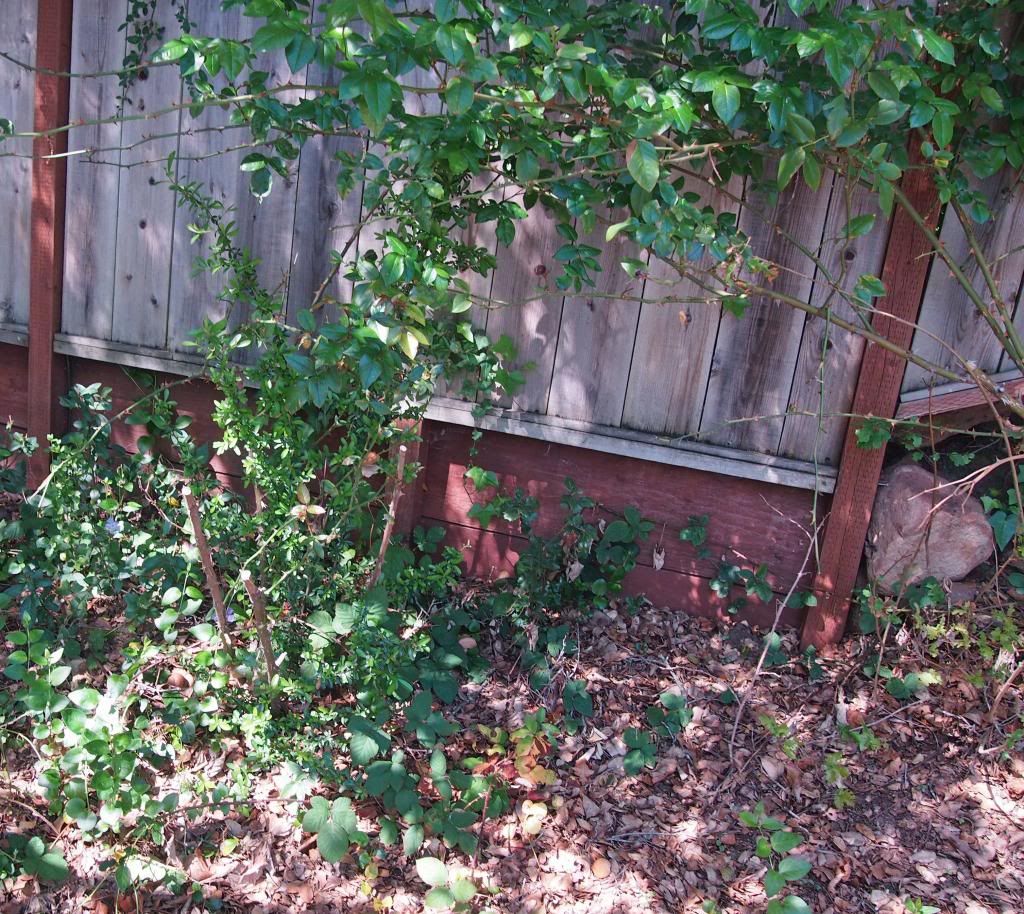 photo h2_zps80e1e3c8.jpg