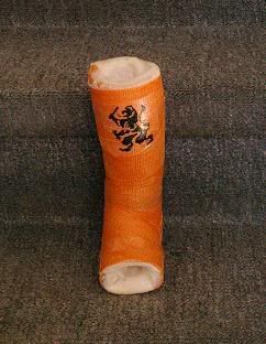 GIPS EK 1988