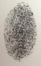 My Fingerprint