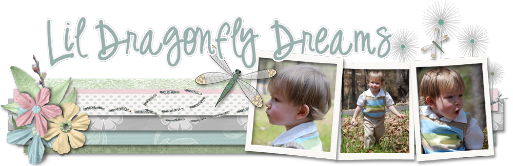 Lil Dragonfly Dreams