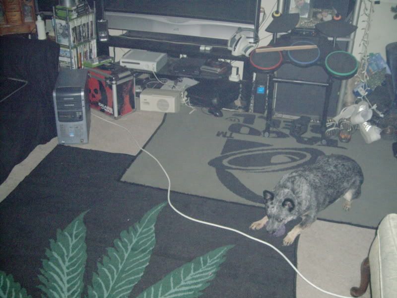[Image: PICT0106.jpg]