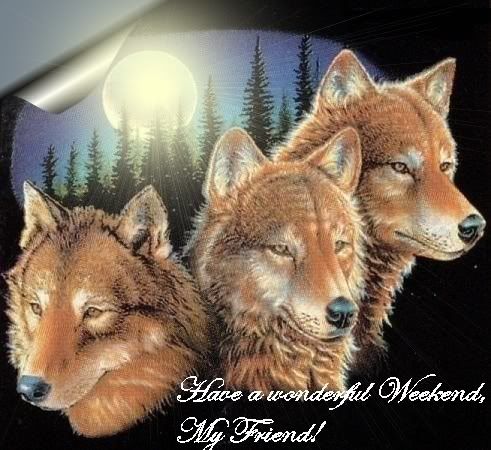 Wonderful Weekend