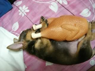 bebe and the chicken