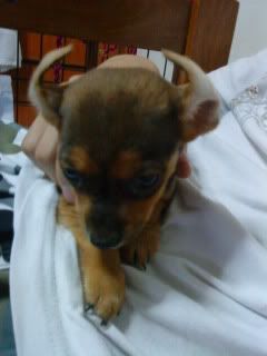 is she cute ?