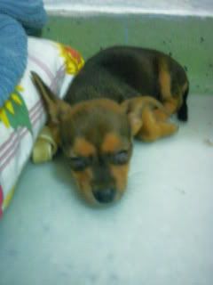 sleeping ~