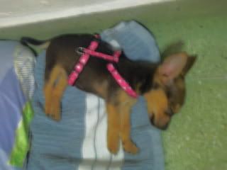 can't you see that i'm sleeping soundly ?