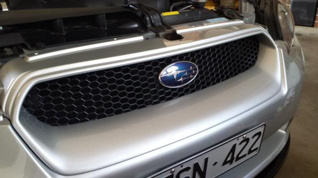 20130817_0923291_zps0525e588.jpg