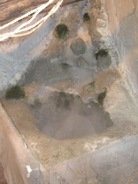 IMG_1129.jpg picture by Reptile_Man