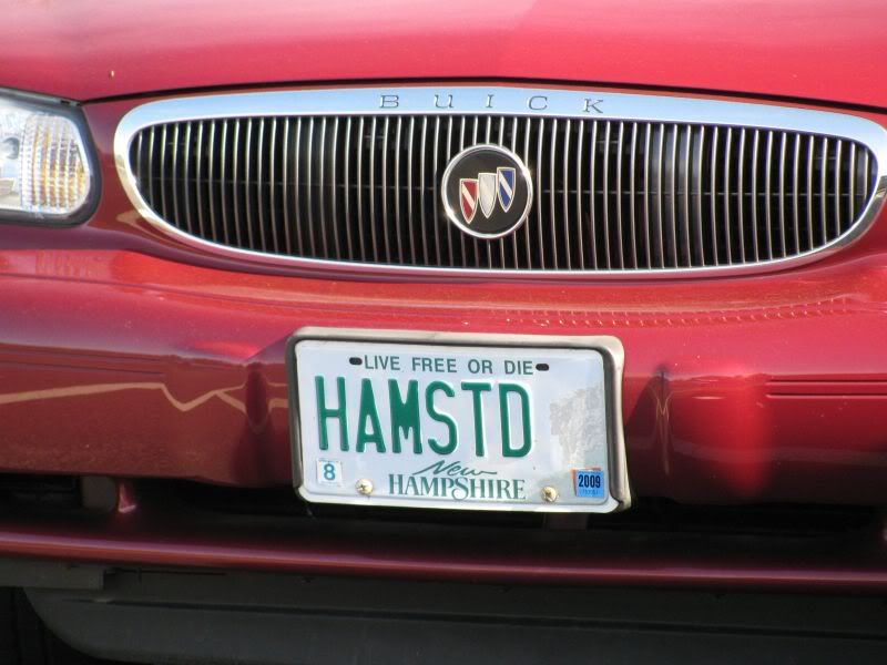 hamstd.jpg