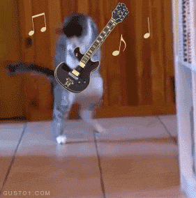 funny-gifs-cat-plays-guitar_zpswoo4nuez.gif
