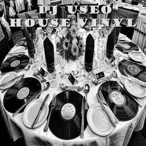 djuseo-house-vinyl-front-grey-small_zpshju5txpm.jpg