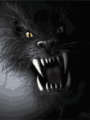 werewolf_face_zps7cjhsvne.gif