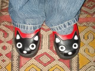 cat_shoes.jpg